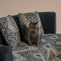 Lagom Mid‑Century Curved Luxury Upholstered Sofa for Living Room