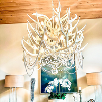 Rylight 2-Tier Pure White Antler Chandelier