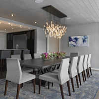Moderne creatieve zaadkristallen kroonluchter voor de eetkamer 