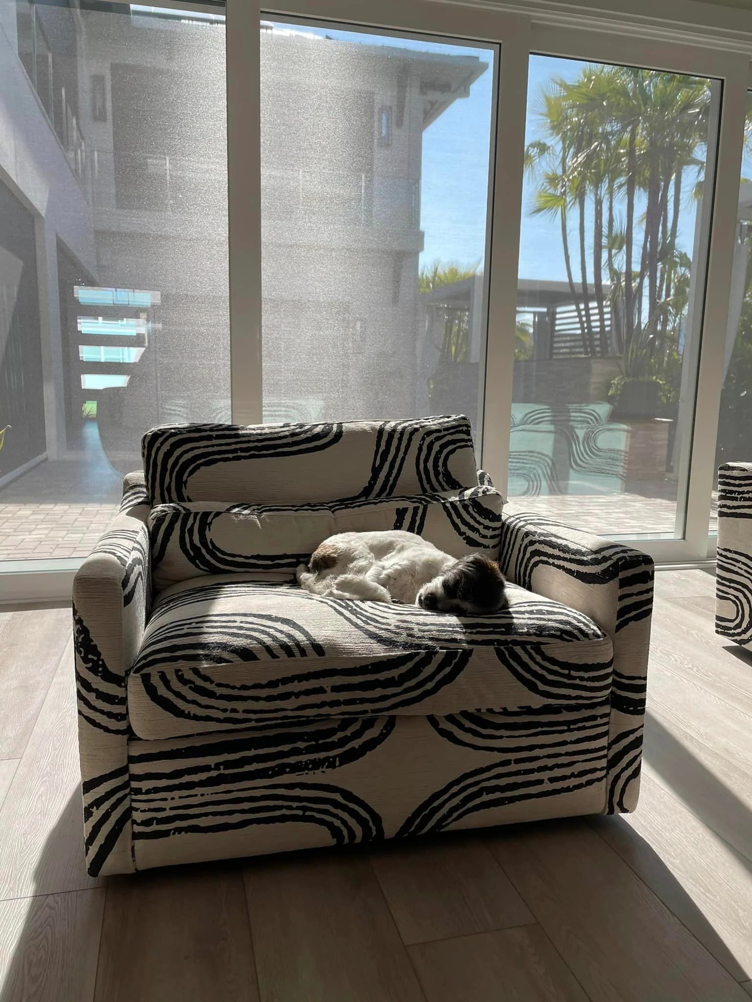 Modern Black&White Toast Sofa Chair