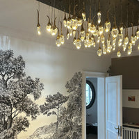 Moderne creatieve zaadkristallen kroonluchter voor de eetkamer 