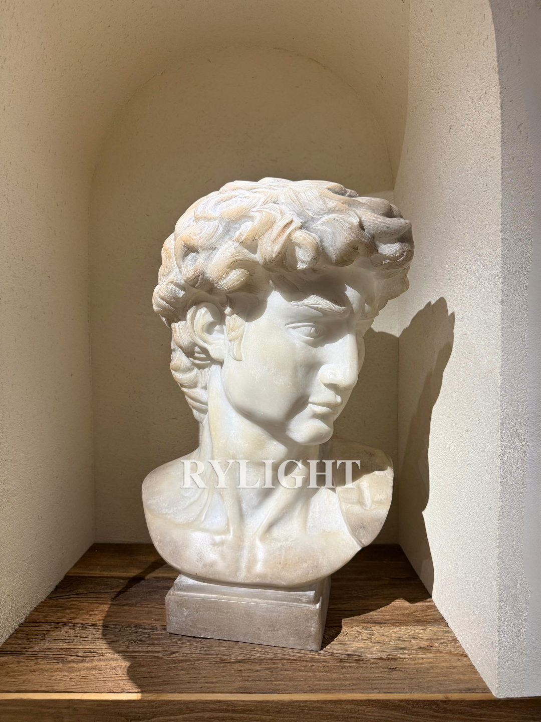 Timeless Gaze – Classical Figure Bust Sculpture
