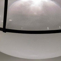 Modern Designer Recommended Elliptical Shell Pendant
