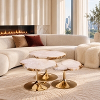 Natural Alabaster Irregular Coffee Table Set