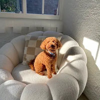 Fleece White Pumpkin Sofa Chair with Footstool