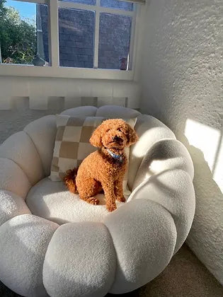 Fleece White Pumpkin Sofa Chair with Footstool