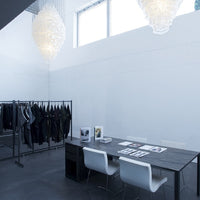 Rylight Designer-recommended Seashell Pendant