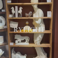 Interwoven Grace – Modern Classical Sculpture Bookcase