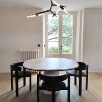 Rylight Simple Brass/Black Branches Chandelier