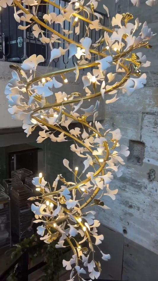 ثريا الجنكة الحلزونية رايلايت