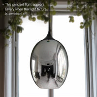 Rylight 3D Colorful Glass Fireworks Art Pendant Light